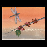 "Dragon Berries" postcard postcards
