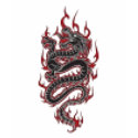 Dragon Camisole t-shirts