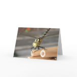 Dragon Card