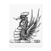 Dragon Clothing 11 postcards by dragonshirt Dragon Clothing 11 postcards