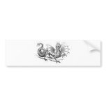 Dragon Clothing 47 Bumper Stickers