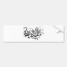 Dragon Clothing 47 Bumper Stickers