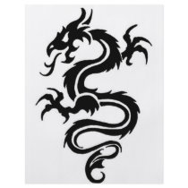 Dragon Collection flyers