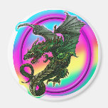 Dragon design magnets