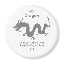dragon dragon dragon magnets
