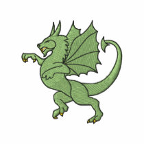 Dragon embroidered shirts