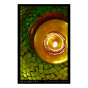 Dragon Eye posters