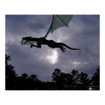 Dragon Flight posters