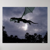 Dragon Flight Print