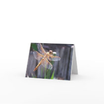 Dragon Fly Greeting Card
