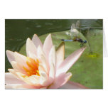 Dragon fly card