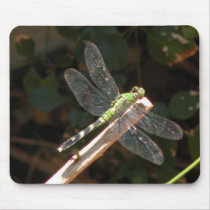 Dragon Fly mousepads by wearGod Dragon Fly mousepads