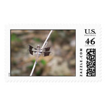 dragon fly postage by mark59956 dragon fly postage