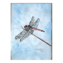 Dragon Fly posters by figstreetstudio Dragon Fly posters