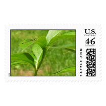 Dragon Fly Stamps by XxRedSoxX Dragon Fly Stamps