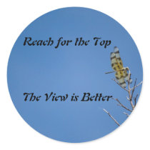 Dragon Fly Sticker