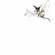 Dragon Fly shirt