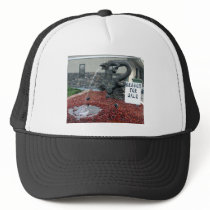 Dragon for Sale Hats