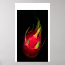 dragon fruit063 posters