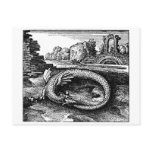 dragon gifts - postcard