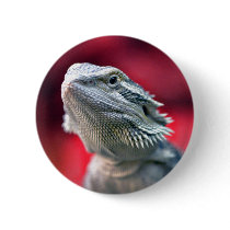 Dragon Head Button