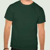 Dragon Housecleaning t-shirts