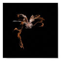 Dragon in Flight posters
