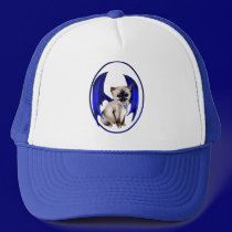 Dragon Kitty framedTrans hats