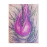 Dragon Lily Post Cards