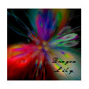 Dragon Lily t-shirts