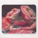 Dragon Love Mouse Pad mousepads