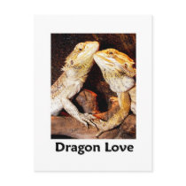 dragon love postcard