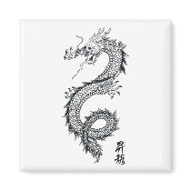 dragon magnets