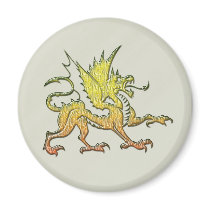 DRAGON magnets