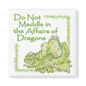 DRAGON magnets by Jack_of_Arts DRAGON magnets