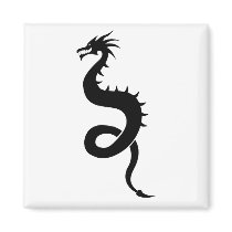 dragon magnets