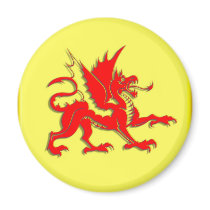 DRAGON magnets