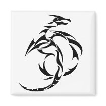 dragon magnets
