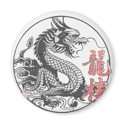 Dragon Martial Arts School Fridge Magnets
