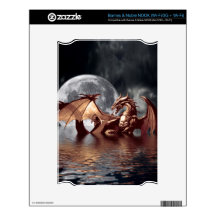 Dragon & Moon Fantasy Electronic Skins NOOK Decals