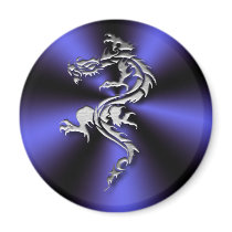 Dragon Nights magnet magnets