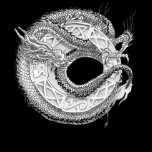 Dragon Ornamental t-shirts