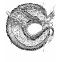 Dragon Ornamental t-shirts by GothicArt Dragon Ornamental t-shirts