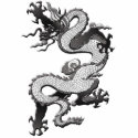 Dragon Photo Sculpture photo sculptures by Elle_Ichai Dragon Photo Sculpture photo sculptures