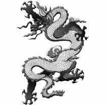 Dragon Photo Sculpture photo sculptures