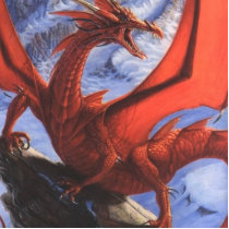 Dragon photo sculptures