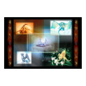 Dragon Poster posters