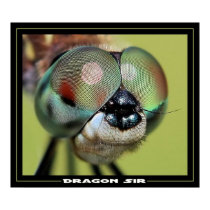 Dragon Sir posters