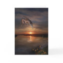 Dragon Sunset cards