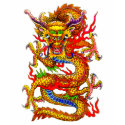 Dragon T-Shirts